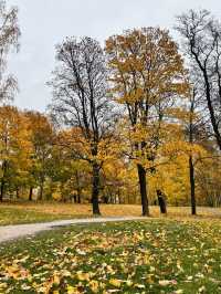 Sibelius Monumentti - อนุเสาวรีย์นักกวีดัง