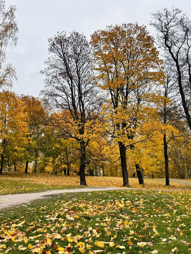 Sibelius Monumentti - อนุเสาวรีย์นักกวีดัง