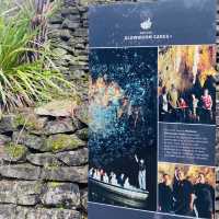 【ニュージーランド】北島3泊5日モデルプラン🇳🇿