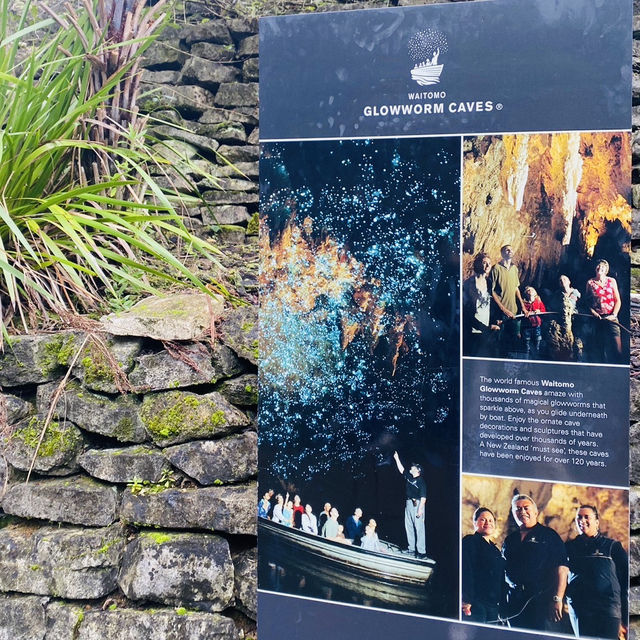 【ニュージーランド】北島3泊5日モデルプラン🇳🇿