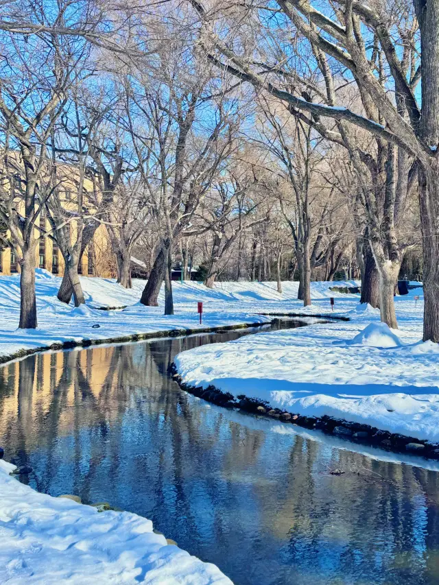 北海道大學冬季旅遊指南 – 雪中經典校園漫步
