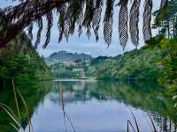 Zealandia Te Mara a Tane A Hidden Haven for Wildlife and Wonder