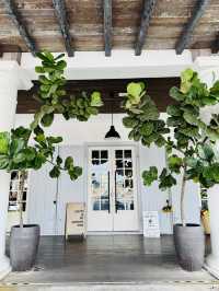 ☕✨ A Chill Afternoon at Commons — Old Court House, Kuching 🌿