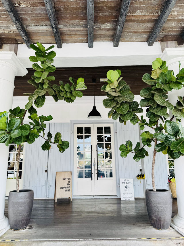 ☕✨ A Chill Afternoon at Commons — Old Court House, Kuching 🌿 ☕✨ A Chill Afternoon at Commons — Old Court House, Kuching 🌿