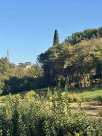 피렌체와 가장 가까운 도시형 캠핑, hu Firenze Camping in Town