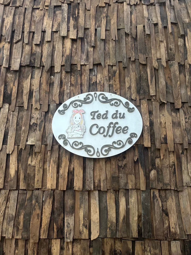 Ted du coffee @แม่กำปอง Ted du coffee @แม่กำปอง