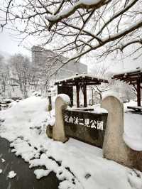 定山溪溫泉+萬世閣飯店 忘不了的北海道之旅