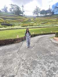 เที่ยวดอยแม่สองเชียงรายกันคะ