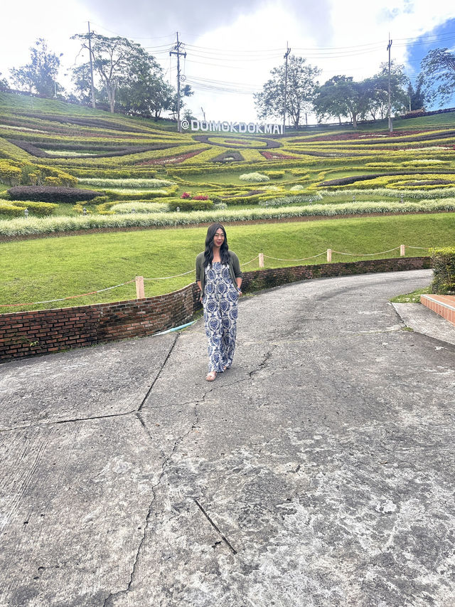 เที่ยวดอยแม่สองเชียงรายกันคะ