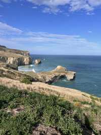新西蘭隱世美景🌊神秘隧道海灘Tunnel Beach荒野打卡攻略