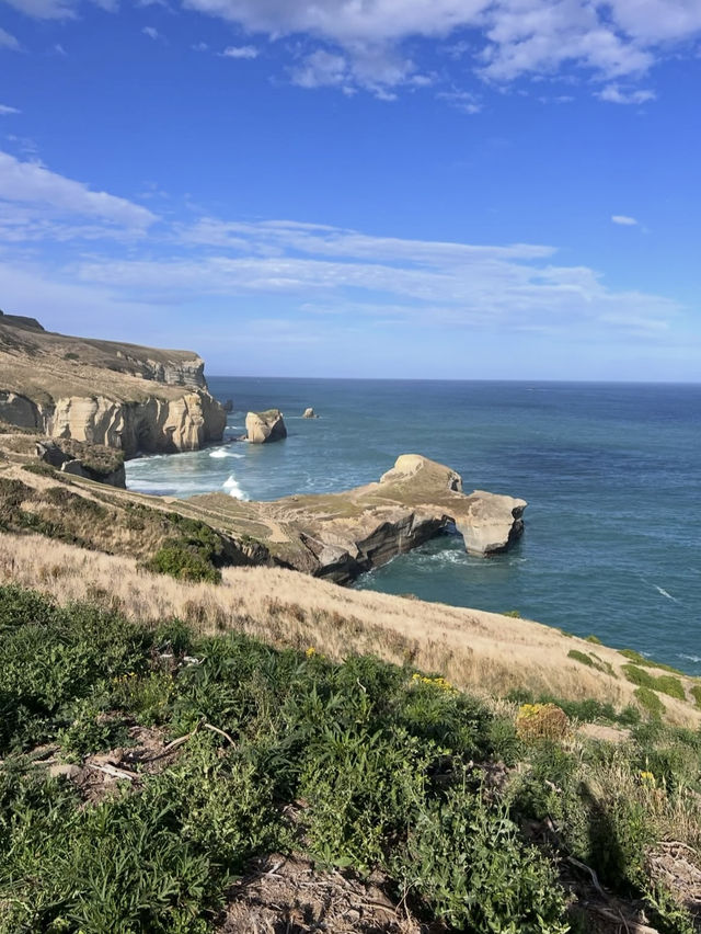 新西蘭隱世美景🌊神秘隧道海灘Tunnel Beach荒野打卡攻略