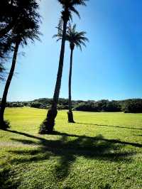 Celebrate the Holidays at Eluanbi Lighthouse & Christmas Souvenirs Collection