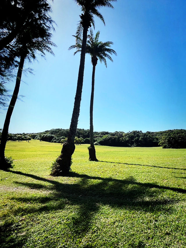 Celebrate the Holidays at Eluanbi Lighthouse & Christmas Souvenirs Collection Celebrate the Holidays at Eluanbi Lighthouse & Christmas Souvenirs Collection