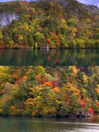 深秋絕景!十和田湖游船仿佛駛入油畫世界🍁