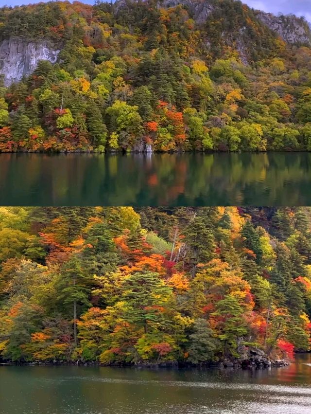 深秋絕景!十和田湖游船仿佛駛入油畫世界🍁 深秋絕景!十和田湖游船仿佛駛入油畫世界🍁
