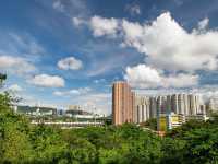 An Oasis of Autumn in an Urban Skyline