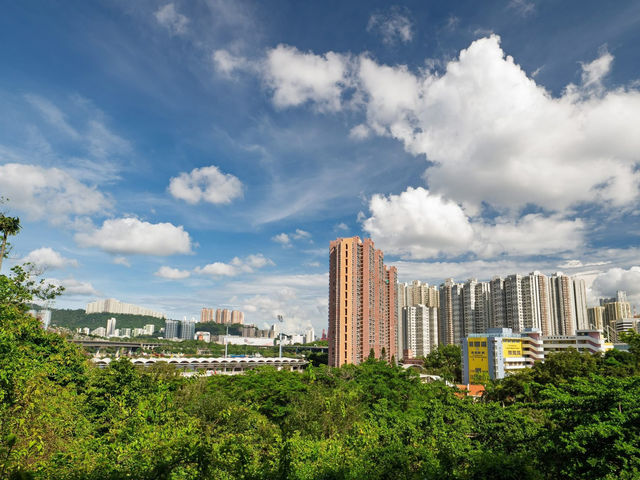 An Oasis of Autumn in an Urban Skyline An Oasis of Autumn in an Urban Skyline