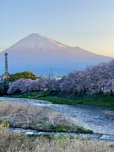 龍巌淵で迎える最高にエピックな桜の日の出 。 | Trip.com 富士市