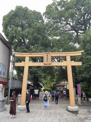 Suizenji Jojuen Garden - The miniature Mount Fuji is absolutely adorable.