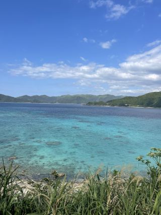 日本の絶景を見るなら奄美大島に来てください🏝️✨