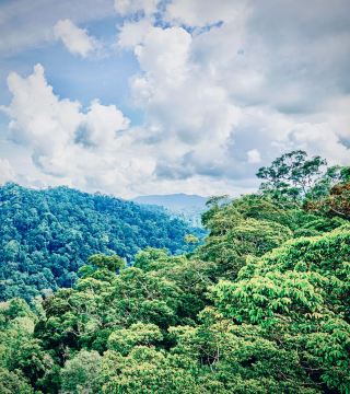 남아프리카 공화국 드라켄즈버그 캐시드럴 피크 트윈스 동굴 절벽 이끼.