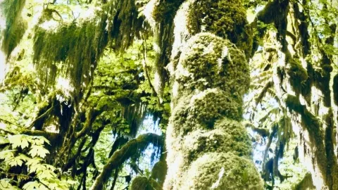 Cala Goloritzé and the Cliff Moss Spire: UNESCO's 143 m Agugliaeasytravelpost #CalaGoloritze #Agugl — traveler post in Dorgali