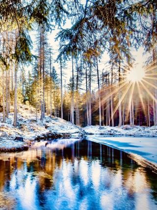  Finland Lemmenjoki Gold Prospector Trail Mossy Taiga Riverbank