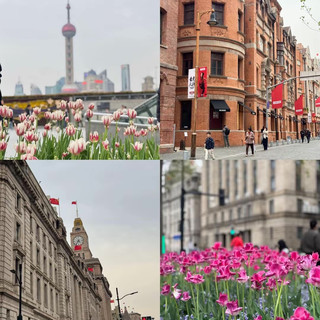 Shanghai 4 Days 3 Nights on a 15,000 THB Budget? It’s Possible and So Much Fun!