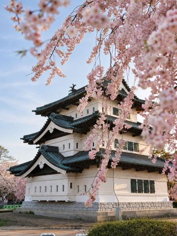 Sakura escape in Hirosaki Park