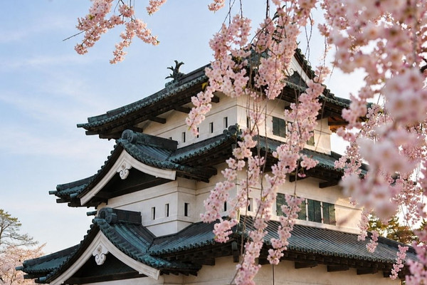 Sakura escape in Hirosaki Park | Trip.com Hirosaki
