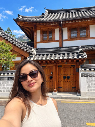 Mountain views and traditional Seoul