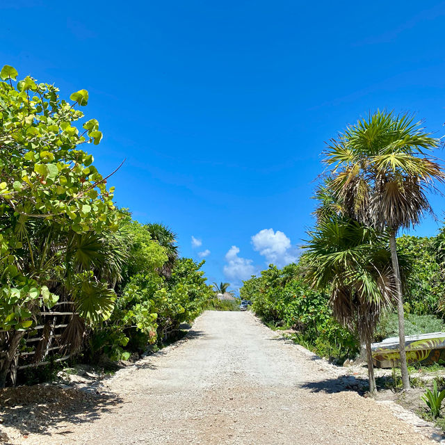 Playa Paraíso in Tulum, Mexico🇲🇽