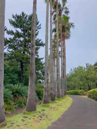 부모님과 함께하는 제주도 가족여행 코스 2탄🌴