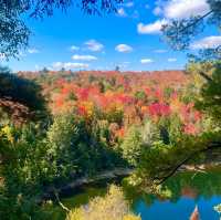 A Vibrant Journey through Autumn Foliage🍁