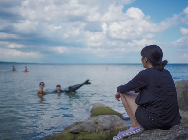 🌊캐나다 토론토 비치 추천 - Bluffer's Park Beach🌊