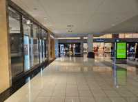 The shopping experience at The Galleria, Houston