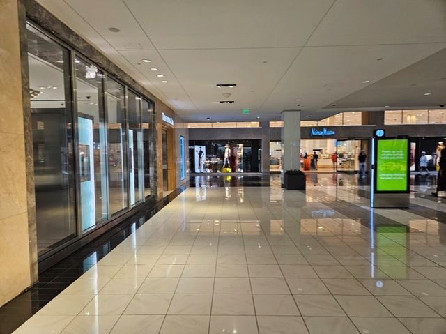 The shopping experience at The Galleria, Houston