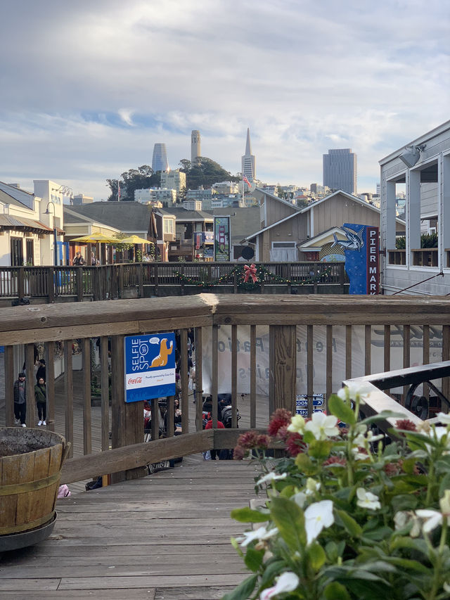 San Francisco，ranked the top one “must see City” in the world
