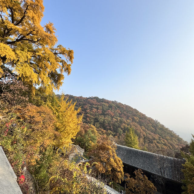 The beauty Panshan