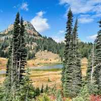 The natural beauty of Sunrise national Park 
