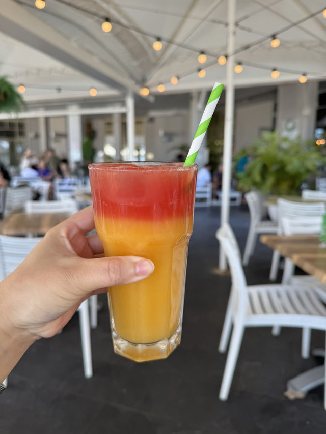 【シドニー郊外】癒し旅。Terrigal Beachでのんびり海ランチと、かわいいペリカンたちに会える場所