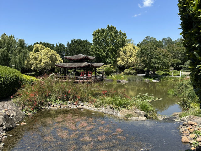 獵人谷花園年度聖誕燈
