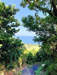 綠島過山步道