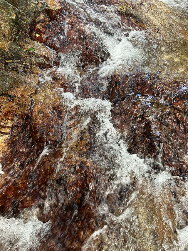 海もいいけど滝も！🇯🇵 石垣島の秘境【荒川の滝】🗾