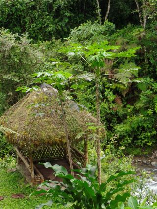 Backpacking Bliss at Maquipucuna Nature Reserve: Ecuador’s Cloud Forest Escape 👣🌿