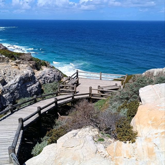 Most Beautiful Dias Beach at Cape Point