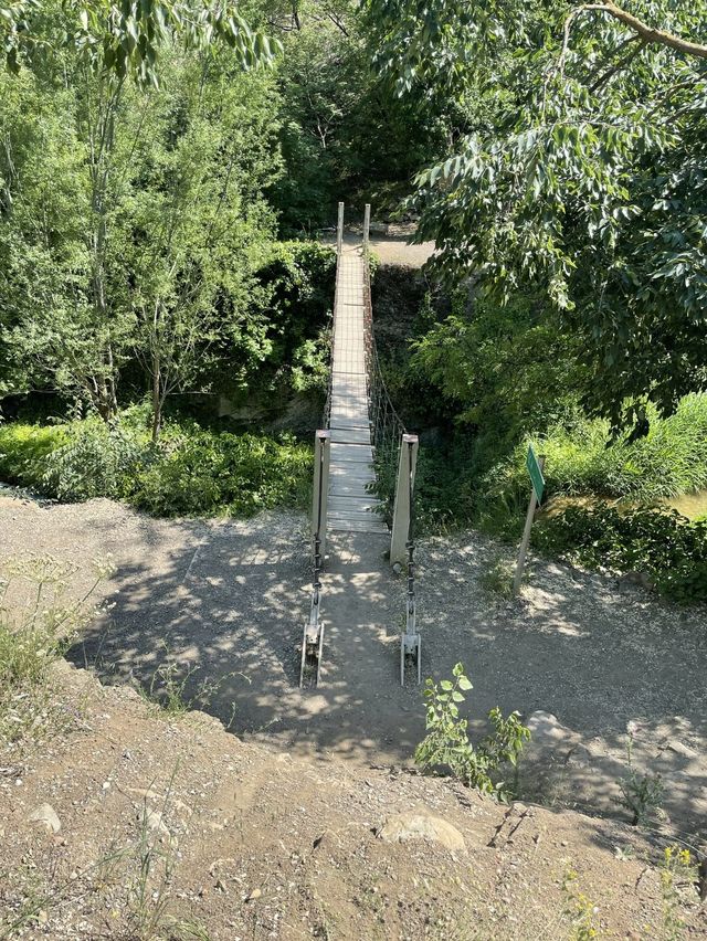 【ジョージア🇬🇪/自然豊かな巨大な植物園 】