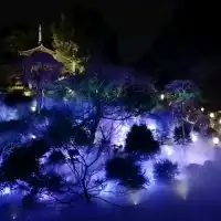 到處都是螢火蟲@ホテル椿山荘東京
