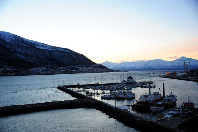 Arctic Majesty in Tromsø 🇳🇴❄️