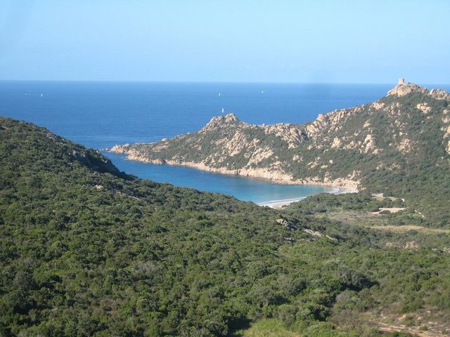Serene Beauty of Corsica 🌿🏖️